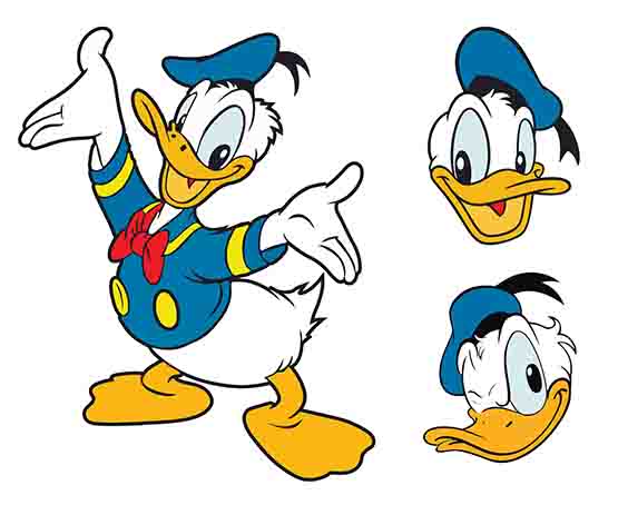 duck